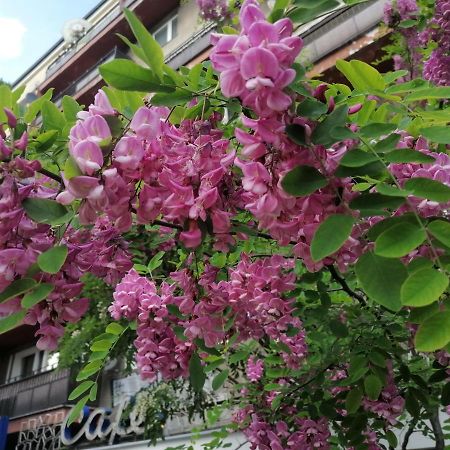 Pulawska 53 Apartment วอร์ซอ ภายนอก รูปภาพ